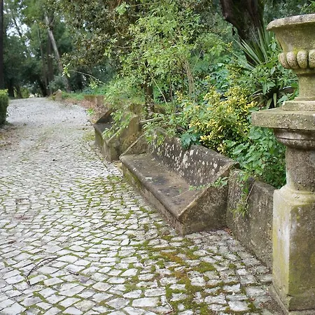 Quinta Do Convento Gasthuis Vila Verde dos Francos